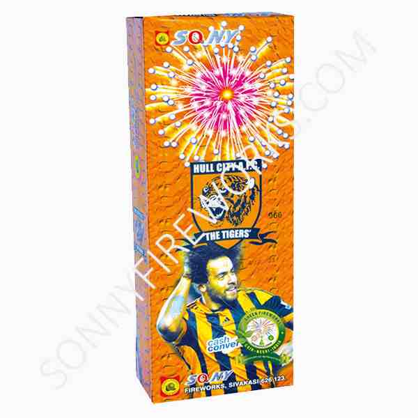 Hull City